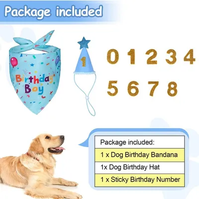 ZooVenture Hunde-Geburtstagsset – Hut + Halstuch