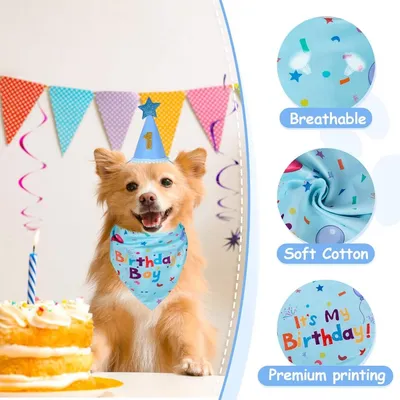 ZooVenture Hunde-Geburtstagsset – Hut + Halstuch