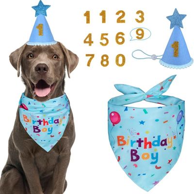 ZooVenture Kit Fête Anniversaire Chien - Chapeau + Bandana