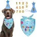 ZooVenture Hunde-Geburtstagsset – Hut + Halstuch