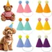 ZooVenture Partyhuetchen Tiere 12St Bunt