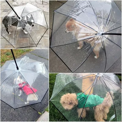 PetTribes Hunde-Regenschirm mit Leine,Schirm PetTribes Hunde-Regenschirm mit Leine,Schirm