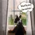 PetTribes Hunde-Regenschirm mit Leine,Schirm PetTribes Hunde-Regenschirm mit Leine,Schirm