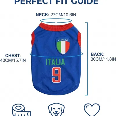 HausPets Camiseta de fútbol de Italia diseño perro transpirable color azul HausPets Camiseta de fútbol de Italia diseño perro transpirable color azul