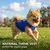HausPets Camiseta de fútbol de Italia diseño perro transpirable color azul HausPets Camiseta de fútbol de Italia diseño perro transpirable color azul