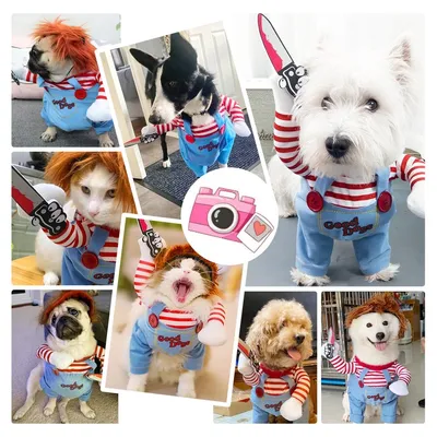 PetTribes Costume Chien Poupée Terrifiante, Halloween