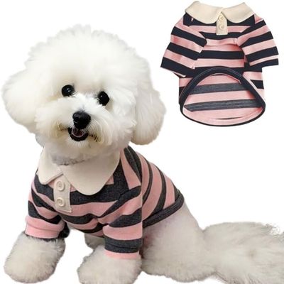 T-Shirt Polo-Ray-Hund Sommer - Atmen & Licht