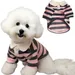 T-Shirt Polo-Ray-Hund Sommer - Atmen & Licht
