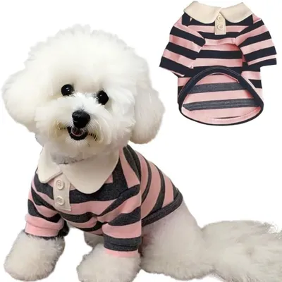 T-Shirt Polo-Ray-Hund Sommer - Atmen & Licht
