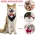 Zoomtopia Collier smoking chien nœud papillon rouge réglable Zoomtopia Collier smoking chien nœud papillon rouge réglable