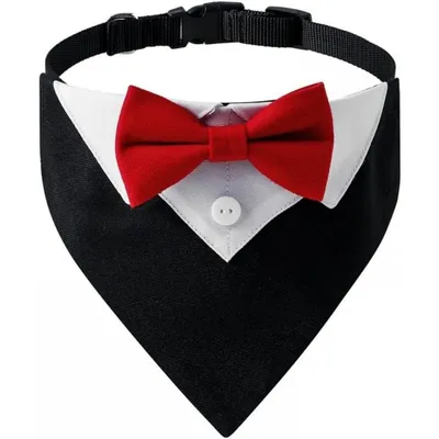 Zoomtopia Collier smoking chien nœud papillon rouge réglable Zoomtopia Collier smoking chien nœud papillon rouge réglable