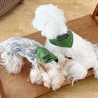 PetTribes Hundehalstuch Dreieckstuch Bandana