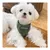 PetTribes Hundehalstuch Dreieckstuch Bandana