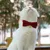 FurryFusion Hochzeitsaccessoires für Hunde und Katzen