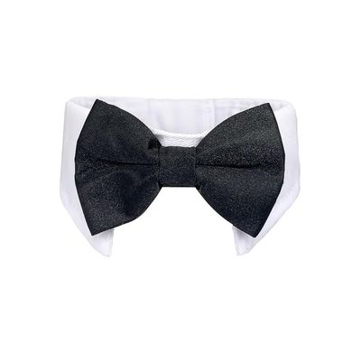 FurryFusion Collier et foulard pour animaux de compagnie
