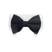 FurryFusion Haustierhalsband und Schal
