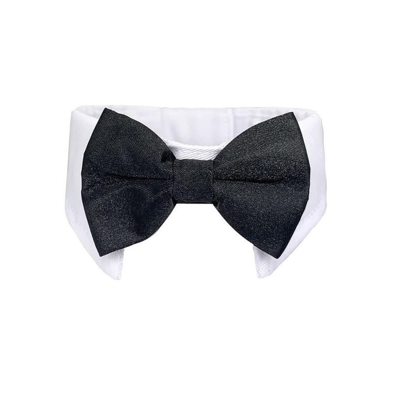 FurryFusion Haustierhalsband und Schal