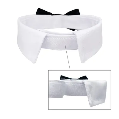 FurryFusion Haustierhalsband und Schal