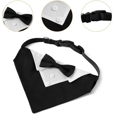 Zoomtopia Collier bandana chien smoking nœud papillon + cravate