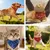 HausPets 2er Pack Verstellbare Hunde Halstücher Rot + Blau HausPets 2er Pack Verstellbare Hunde Halstücher Rot + Blau