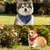 HausPets 2er Pack Verstellbare Hunde Halstücher Rot + Blau HausPets 2er Pack Verstellbare Hunde Halstücher Rot + Blau