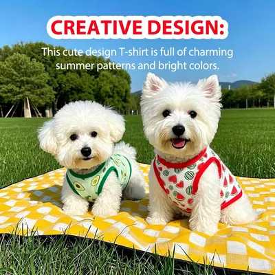 Set 3 atmungsaktive Sommer-T-Shirts kleine/mittelgroße Hunde + Strass.