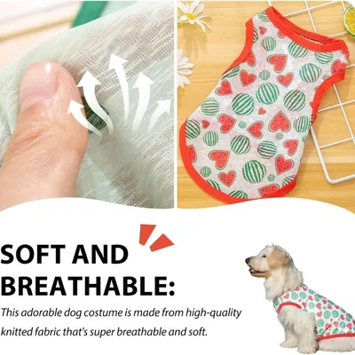 Set 3 atmungsaktive Sommer-T-Shirts kleine/mittelgroße Hunde + Strass.