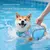 FurryFusion Hunde-Schwimmweste
