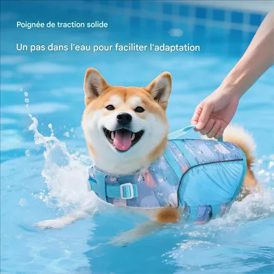 FurryFusion Hunde-Schwimmweste