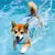 FurryFusion Hunde-Schwimmweste