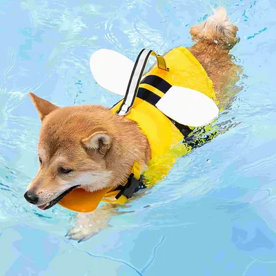 FurryFusion Rettungsweste für Hunde in Bienenform
