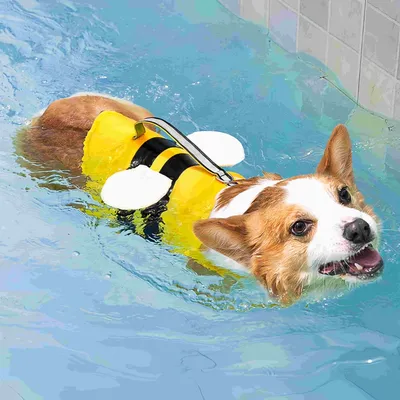 FurryFusion Rettungsweste für Hunde in Bienenform