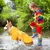 Zoomtopia Imperméable chien jaune réfléchissant taille M capuche Zoomtopia Imperméable chien jaune réfléchissant taille M capuche