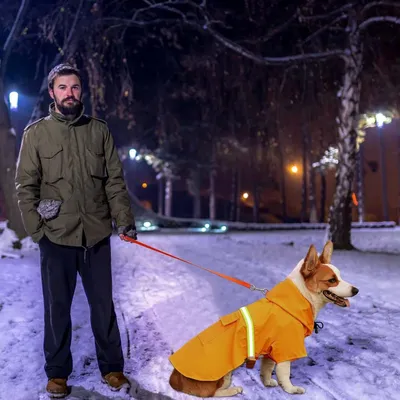 Zoomtopia Imperméable chien jaune réfléchissant taille M capuche Zoomtopia Imperméable chien jaune réfléchissant taille M capuche