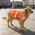 Reflektierende Hunde-Sicherheitsweste von FurryFusion Reflektierende Hunde-Sicherheitsweste von FurryFusion