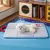 HausPets Tapis pour Chien, 60×42CM HausPets Tapis pour Chien, 60×42CM