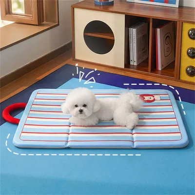 HausPets Tapis pour Chien, 60×42CM HausPets Tapis pour Chien, 60×42CM