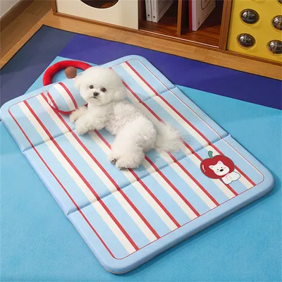 HausPets Tapis pour Chien, 60×42CM HausPets Tapis pour Chien, 60×42CM