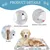 PetTribes Tapis Refroidissant Gris Ours : Auto-Refroidissant, Réutilisable,