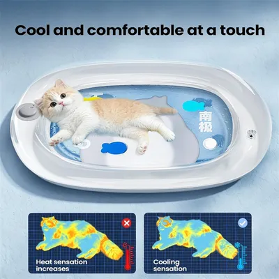 Verdickte waschbare und aufblasbare Wassermatratze für Katzen und Hunde(XL)