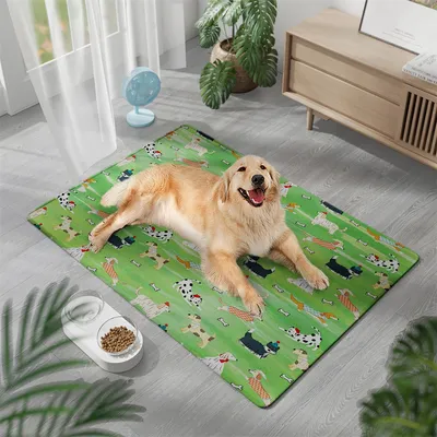 HausPets Tapis Rafraîchissant pour Chats et Chiens, 50x70cm Vert HausPets Tapis Rafraîchissant pour Chats et Chiens, 50x70cm Vert