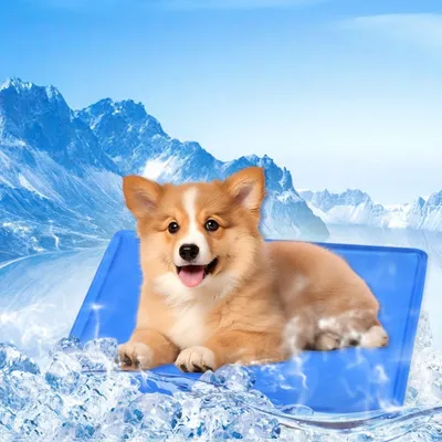 FurryFusion Kühlmatte für Hunde und Katzen