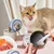 Zoomtopia Lot 4 cuillères chat nourriture humide TPR rose gris Zoomtopia Lot 4 cuillères chat nourriture humide TPR rose gris