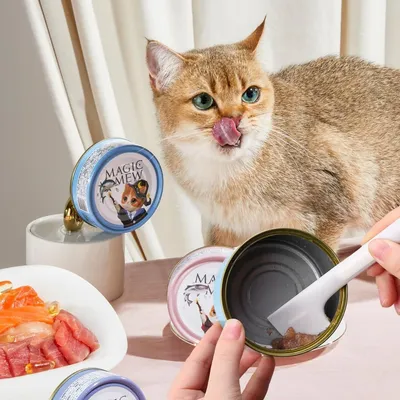 Zoomtopia Lot 4 cuillères chat nourriture humide TPR rose gris Zoomtopia Lot 4 cuillères chat nourriture humide TPR rose gris