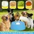 ZooVenture Bol Lente Chien Bleu Boule Flottante