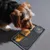 FurryFusion Anti-Schling-Hundefutterautomat FurryFusion Anti-Schling-Hundefutterautomat