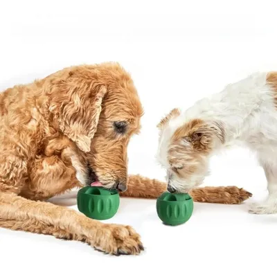 MCBOSON Balle et plateau de distribution lente améliorés pour chiens Vert MCBOSON Balle et plateau de distribution lente améliorés pour chiens Vert