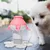 FurryFusion Biberon élévatable patte de chat pour chiots chatons FurryFusion Biberon élévatable patte de chat pour chiots chatons