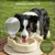 FurryFusion Goblet d'eau et nourriture pour chiens en déplacement FurryFusion Goblet d'eau et nourriture pour chiens en déplacement