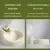 FurryFusion Goblet d'eau et nourriture pour chiens en déplacement FurryFusion Goblet d'eau et nourriture pour chiens en déplacement